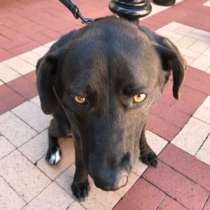 Meet your Posher, Brian